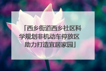 西乡街道西乡社区科学规划非机动车停放区 助力打造宜居家园