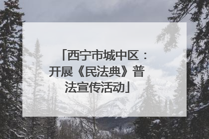 西宁市城中区：开展《民法典》普法宣传活动