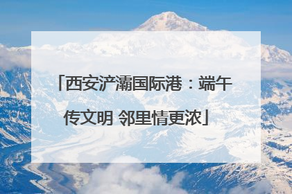 西安浐灞国际港：端午传文明 邻里情更浓