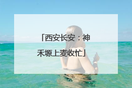西安长安：神禾塬上麦收忙