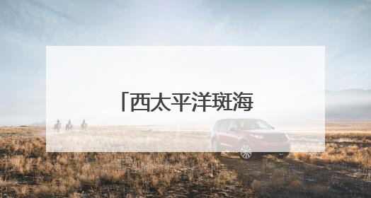 西太平洋斑海豹放归大海