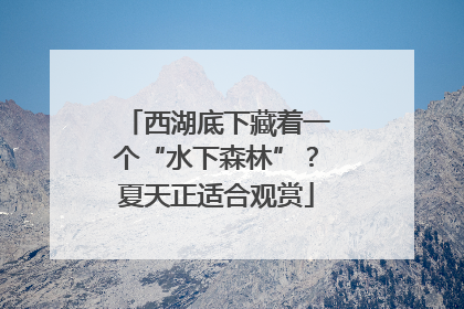 西湖底下藏着一个“水下森林”？夏天正适合观赏