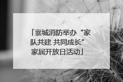 襄城消防举办“家队共建 共同成长”家属开放日活动