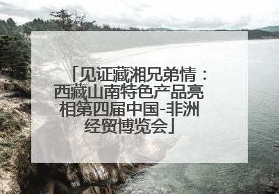 见证藏湘兄弟情：西藏山南特色产品亮相第四届中国-非洲经贸博览会