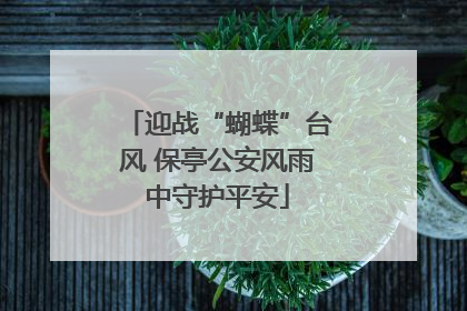 迎战“蝴蝶”台风 保亭公安风雨中守护平安