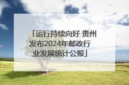 运行持续向好 贵州发布2024年邮政行业发展统计公报