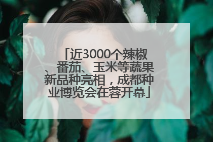 近3000个辣椒、番茄、玉米等蔬果新品种亮相，成都种业博览会在蓉开幕