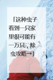 这种虫子看到一只家里很可能有一万只，除虫攻略→