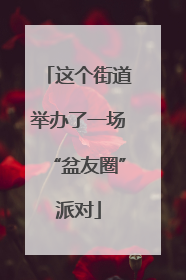这个街道举办了一场“盆友圈”派对