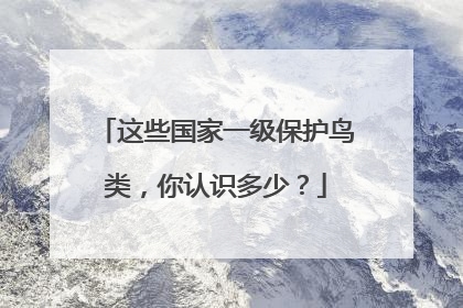 这些国家一级保护鸟类，你认识多少？