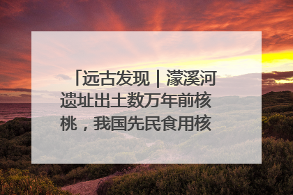 远古发现｜濛溪河遗址出土数万年前核桃，我国先民食用核桃历史大幅提前
