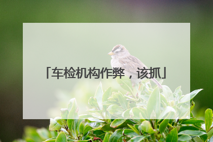 车检机构作弊，该抓
