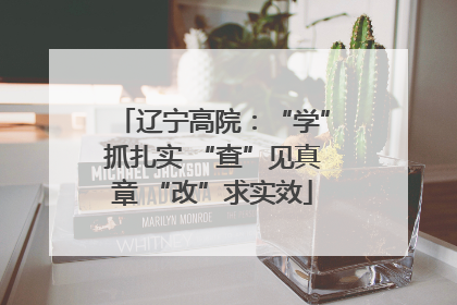 辽宁高院：“学”抓扎实 “查”见真章 “改”求实效