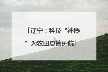 辽宁：科技“神器”为农田夏管护航