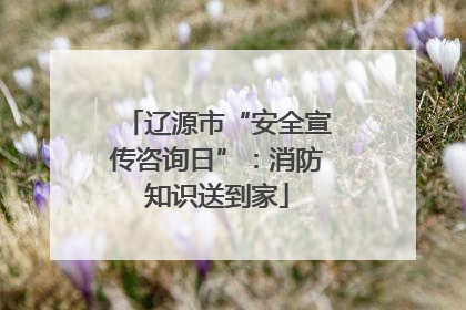辽源市“安全宣传咨询日”：消防知识送到家