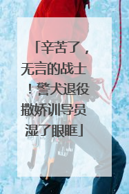 辛苦了，无言的战士！警犬退役撒娇训导员湿了眼眶