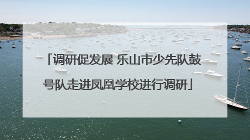调研促发展 乐山市少先队鼓号队走进凤凰学校进行调研