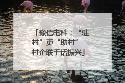 豫信电科：“驻村”更“助村” 村企联手话振兴