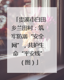 贵溪市白田乡兰田村：筑牢防溺“安全网”，共护生命“平安线”（图）