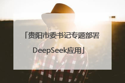 贵阳市委书记专题部署DeepSeek应用