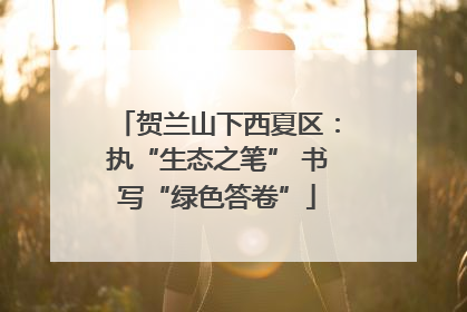 贺兰山下西夏区：执“生态之笔” 书写“绿色答卷”