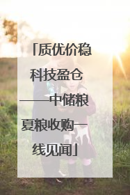 质优价稳 科技盈仓——中储粮夏粮收购一线见闻