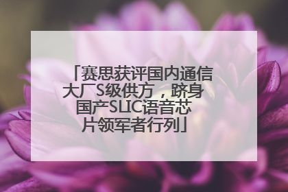 赛思获评国内通信大厂S级供方，跻身国产SLIC语音芯片领军者行列