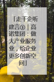 走千企听建言③｜高诺集团：做大产业服务业，给企业更多创新空间