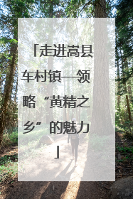 走进嵩县车村镇—领略“黄精之乡”的魅力