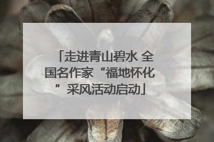 走进青山碧水 全国名作家“福地怀化”采风活动启动