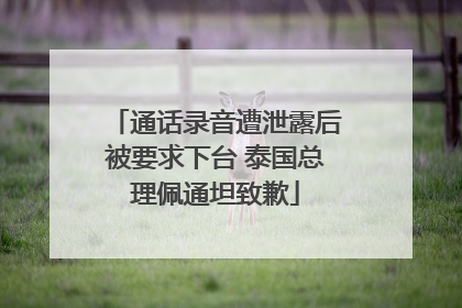 通话录音遭泄露后被要求下台 泰国总理佩通坦致歉