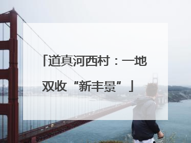 道真河西村：一地双收“新丰景”