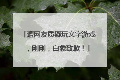 遭网友质疑玩文字游戏，刚刚，白象致歉！