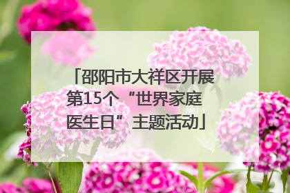 邵阳市大祥区开展第15个“世界家庭医生日”主题活动