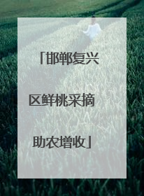 邯郸复兴区鲜桃采摘助农增收