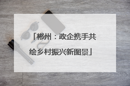 郴州：政企携手共绘乡村振兴新图景