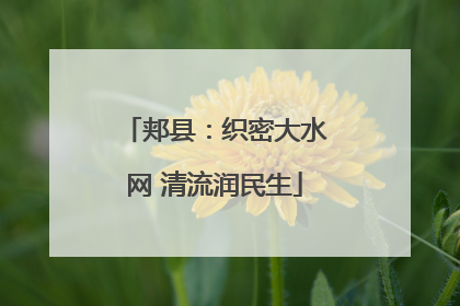 郏县：织密大水网 清流润民生