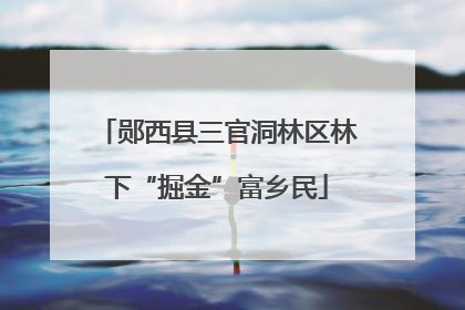 郧西县三官洞林区林下“掘金”富乡民