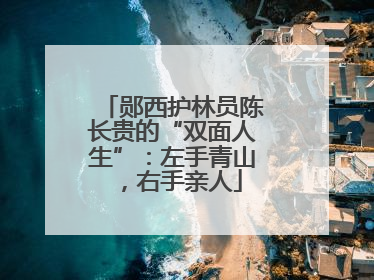 郧西护林员陈长贵的“双面人生”：左手青山，右手亲人