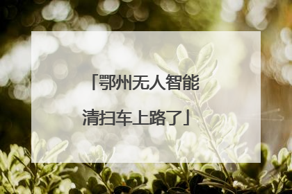 鄂州无人智能清扫车上路了