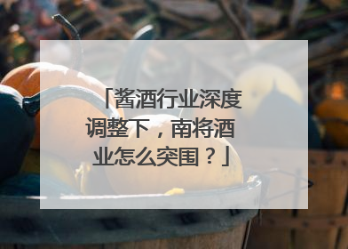 酱酒行业深度调整下，南将酒业怎么突围？