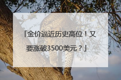 金价逼近历史高位！又要涨破3500美元？