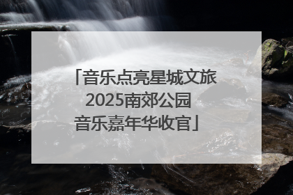 音乐点亮星城文旅 2025南郊公园音乐嘉年华收官