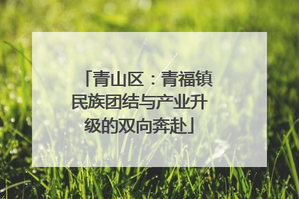 青山区：青福镇民族团结与产业升级的双向奔赴