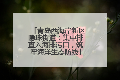 青岛西海岸新区隐珠街道：集中排查入海排污口，筑牢海洋生态防线