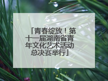 青春绽放！第十一届湖南省青年文化艺术活动总决赛举行