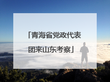 青海省党政代表团来山东考察