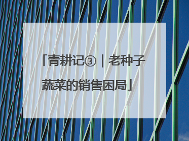 青耕记③｜老种子蔬菜的销售困局
