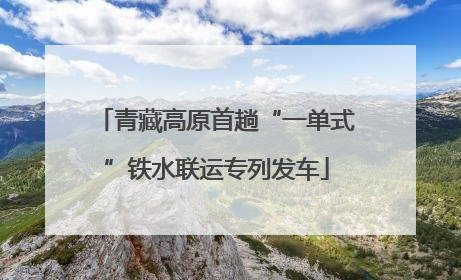青藏高原首趟“一单式”铁水联运专列发车