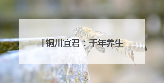 铜川宜君：千年养生智慧烹出时代新滋味